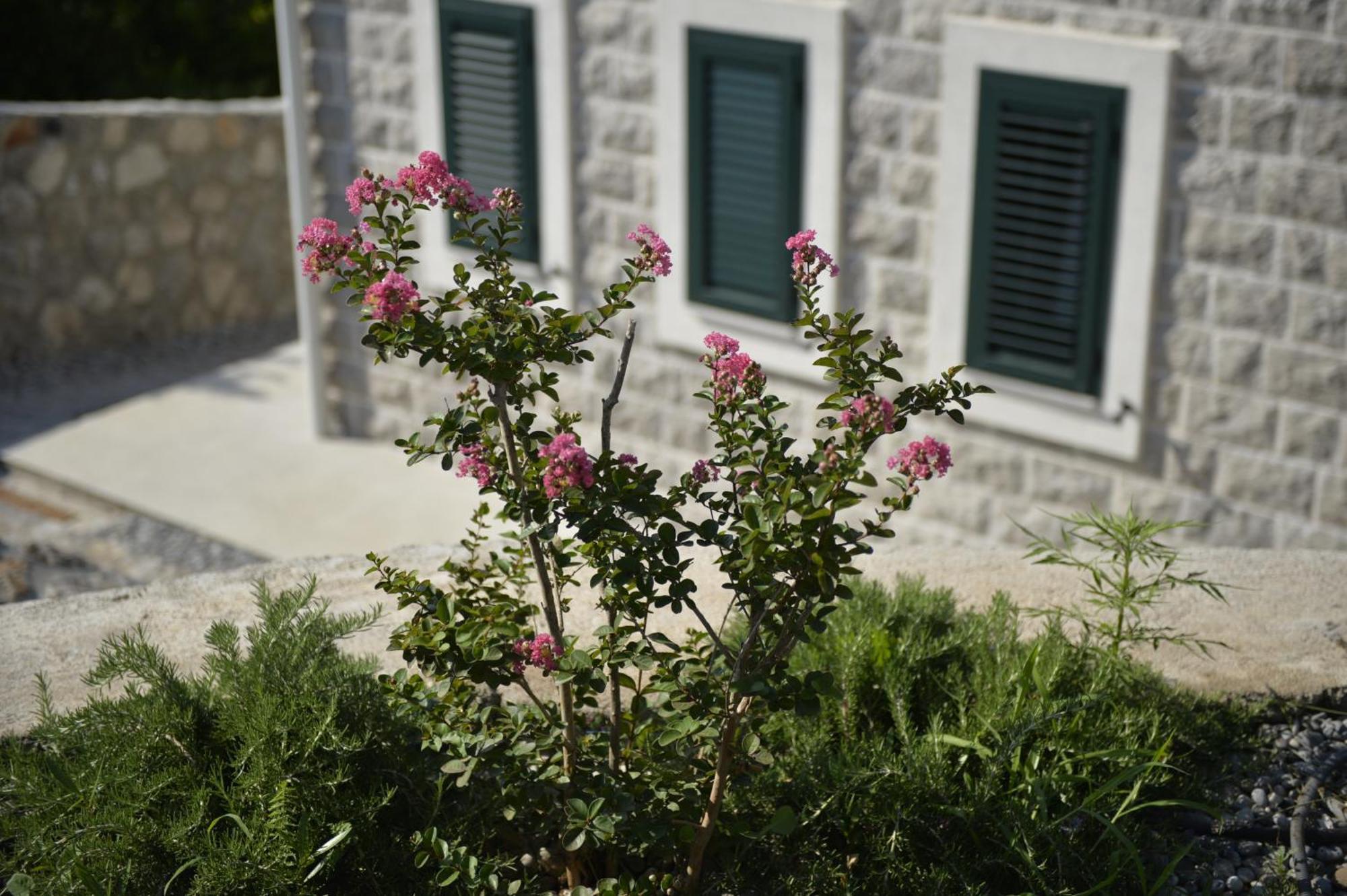 Villa Vista Azzurra Tivat Exteriér fotografie